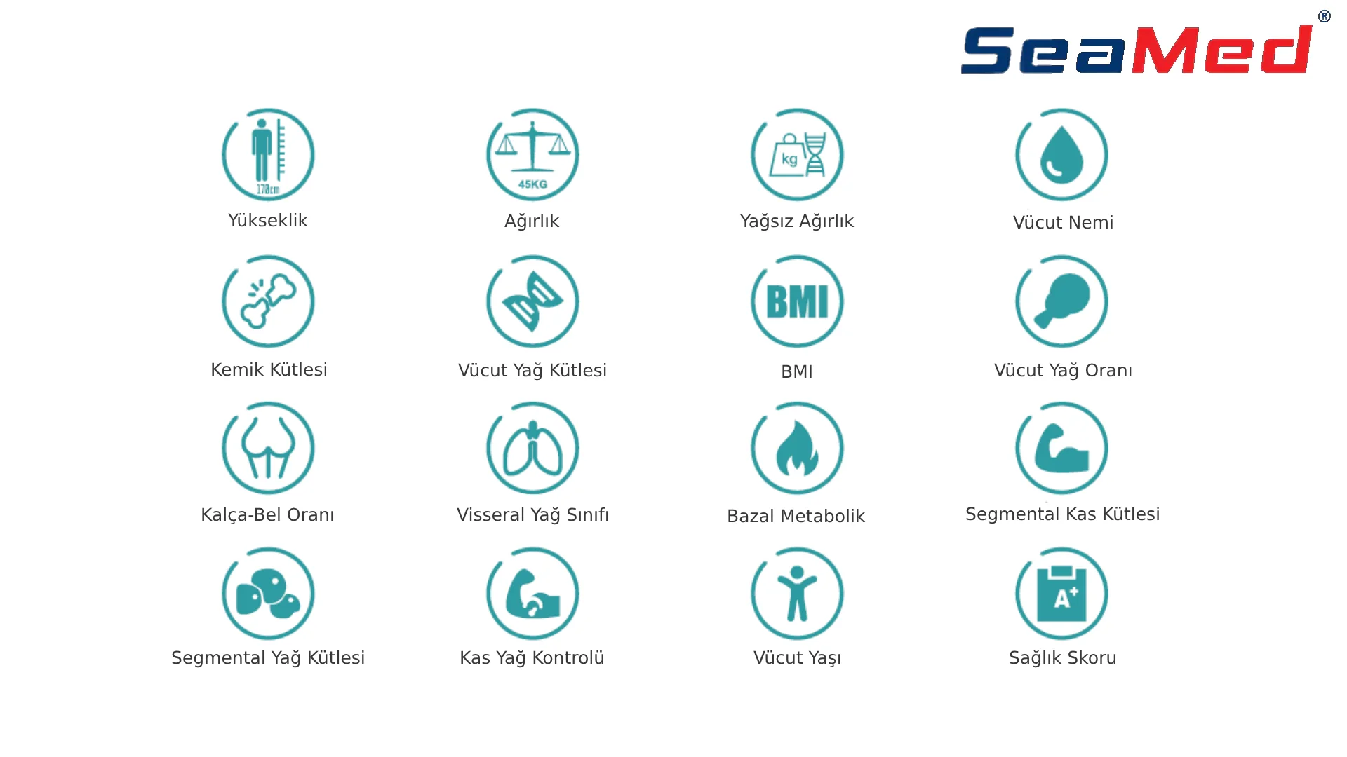 SEAMED VÜCUT ANALİZ CİHAZI 3